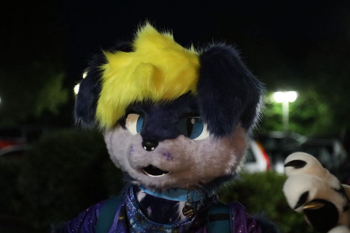 Louish 🔞 🔜 NFC™️ tweet media