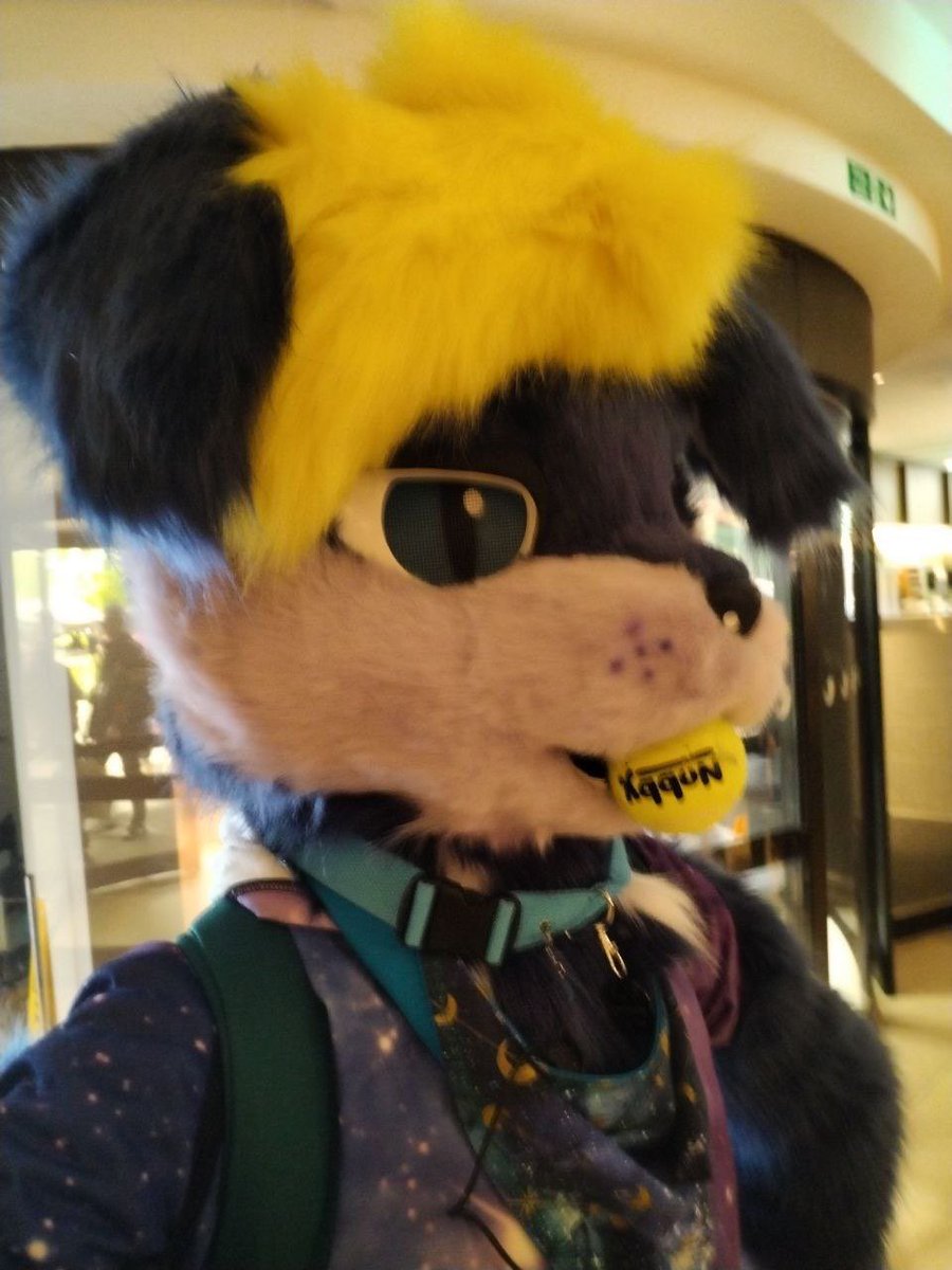 Louish 🔞 🔜 NFC™️ tweet media