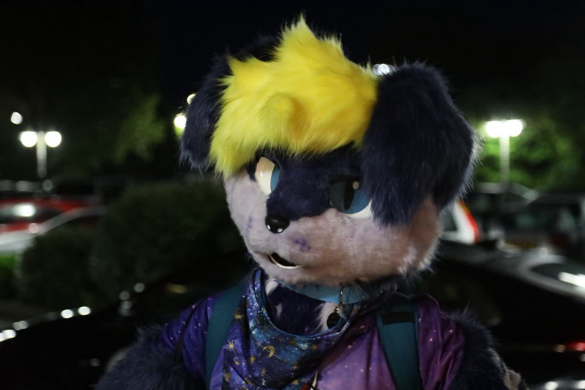 Louish 🔞 🔜 NFC™️ tweet media