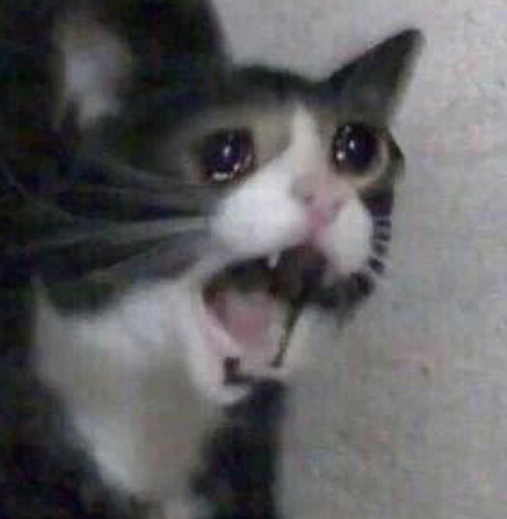 MixedMina_'s tweet photo. @CryfurV Nooooooooo https://t.co/UNdaIC4y8D