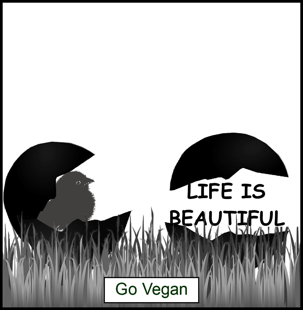 #lifeisbeautiful #govegan