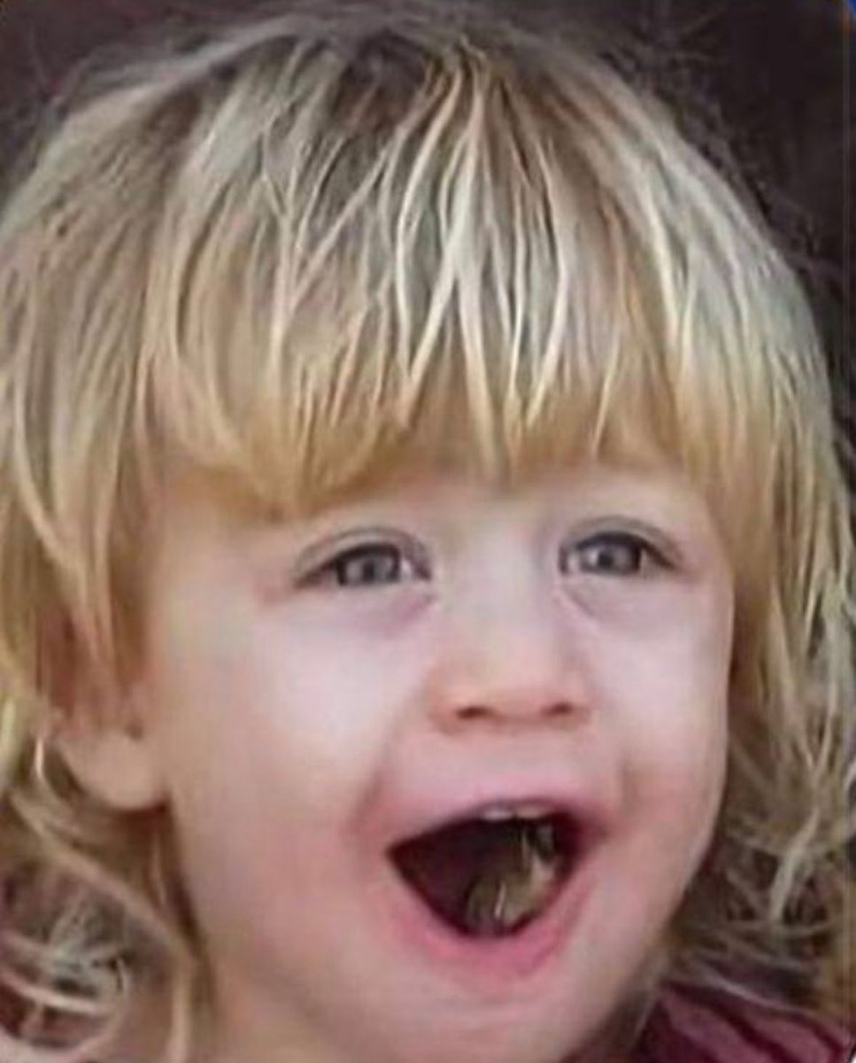 This was 4 year old Omer Siman Tov. 

On October 7th, the young boy was BURNED ALIVE as he hid in his safe room alongside his twin 6 year old sisters and his beloved parents Tamar and Johnny. 

38 children were killed on Oct 7th.

Three of them aged 0-3. 

Four of them aged 3-6.