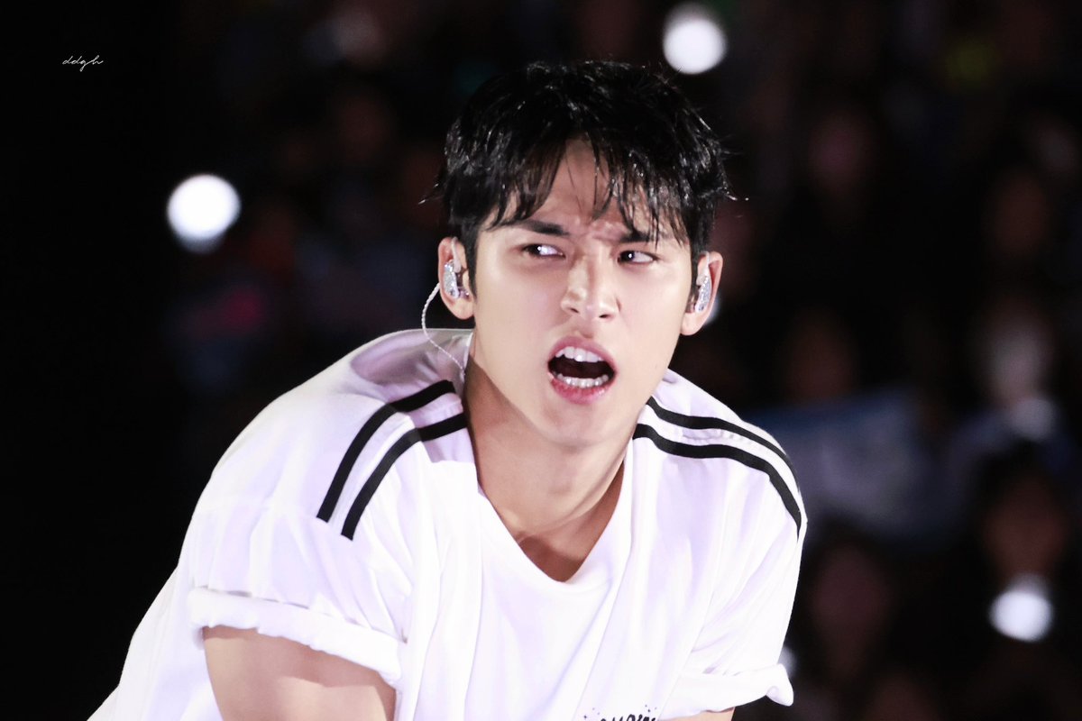 mingyu pics tweet media