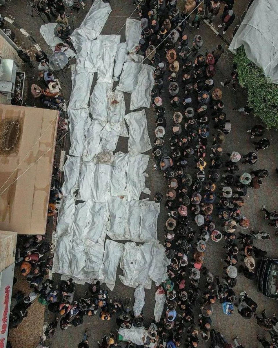 ibrahimboran06's tweet photo. Filistinde KATLİAM
Yarabbi bu itrailin sonunu bizim elimizden getir…… https://t.co/0NqBehE3sm