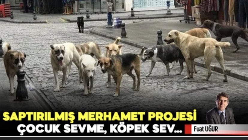FUATUGUR's tweet photo. Saptırılmış merhamet projesi; çocuk sevme, köpek sev…
👇👇
Ülkemize karşı açılmış ve hedefinde insanlık olan bir savaşla karşı karşıyayız.
Sokak köpekleri ile çocuklarımızı, geleceğimizi hedef alıyorlar.
“Köpek ısırır, piçlerinize sahip çıkın”diyorlar hiç utanmadan, arsızca.
Sokak köpekleri üzerinden maliyeti ve bedeli başkalarına yükleyerek kendilerine “hayvan sevgisi” devşiriyorlar.
Geçen gün Cumhurbaşkanı Tayyip Erdoğan nüfus artış hızındaki müthiş düşüşten söz ediyor ve uyarılarda bulunuyordu.
Öyle anlaşılıyor ki “Artırılmış hayvan sevgisi” yoluyla evlat sevgisi yerine köpek sevgisi yerleştirmeye çalışıyorlar. Üstelik bu durum mama üreticileri, ithalcileri, onların yemlediği sözde hayvansever dernekleri, hayvansever görünümlü şirret kişilikler tarafından sürekli pompalanıyor.
ÜLKEMİZE BİR AYAR YAPILIYOR ve insanlığı çürütüyorlar hızla.
Kısaca bizi teslim almak istiyorlar.
İrrasyonel sanatçı romantizmi de bu gidişatı desteklemekte. 
Bu işin maliyeti yıllık 100 milyarı buluyor.
Şunu NET BİR BİÇİMDE söyleyeyim.
Ne hükümetin ne de MİLLETİN SOKAĞA ATILACAK PARASI yok.
Sorun yakıcı ve mutlaka çözülmeli. 
Aksi halde mesele kangren olur ve İKTİDARIN BAŞINI YAKAR, benden söylemesi.
👇👇
https://t.co/sRsTJamz8V
🔺🔺