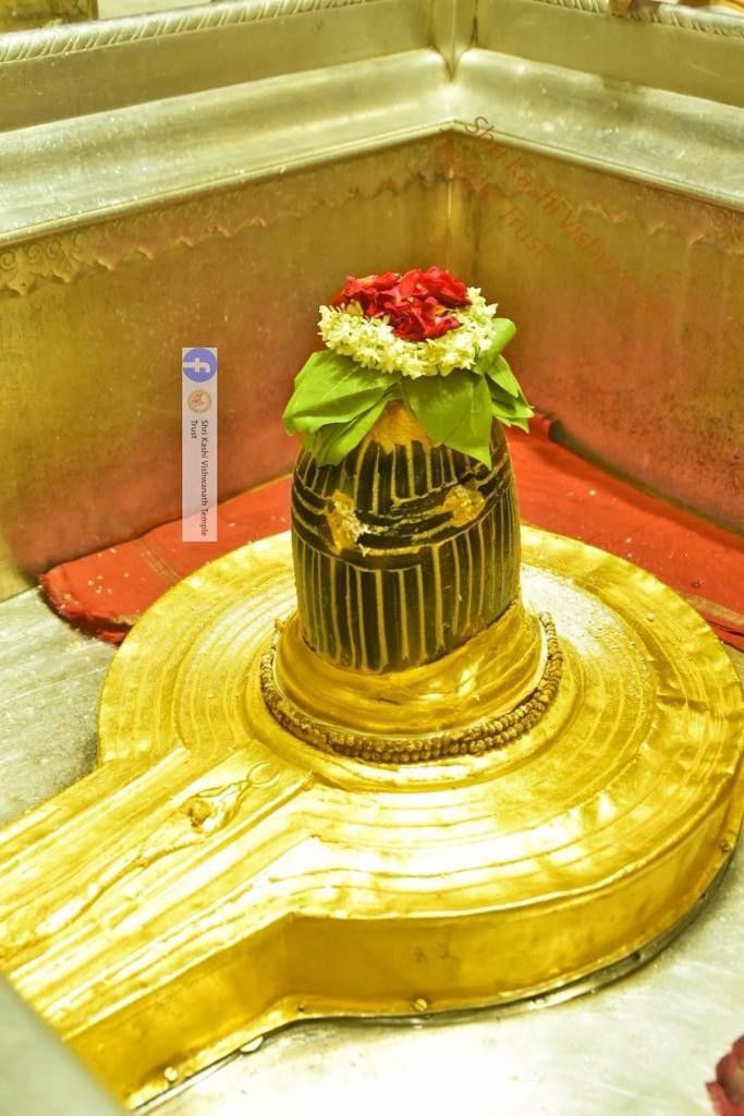 M4_VED's tweet photo. #Pune #पुणे #पुणे_काण्ड 
#मुम्बई #सलमानखान 
#hit_and_run #काला_हिरण #विश्नोई #विश्नोई_समाज
#Salman_Khan
 #RT #FF #t20 #KKR
सलमानखान को छोड़कर न्यायपालिका,सरकार,सिस्टम से जो गलती हुई  उसकी क़ीमत देश लोगो की जानदेकर चुकारहा है।अबभी समाय है सलमान को गिरफ्तार कर,दण्ड दिया जाना चाहिए https://t.co/5MTVBhEHtV