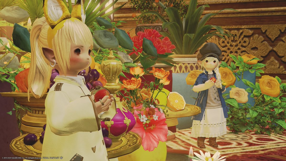 #FF14 #NoraSieHousing