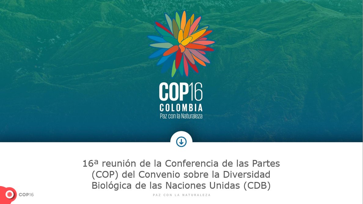 📢 ¡Colombia será anfitriona de la #COP16Colombia! Este octubre, Cali acogerá la Conferencia de las Partes del Convenio sobre Diversidad Biológica. ¿Sabes por qué es tan importante? 🌿🌏 
Entérate 👉cop16colombia.com/es/cop16/