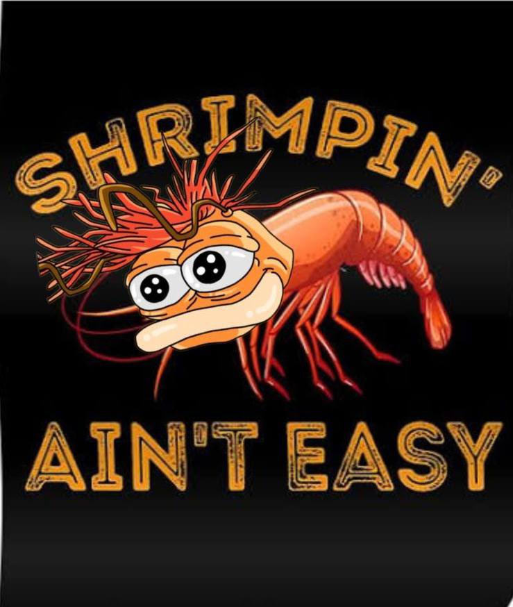 PepeTheKingPrawn tweet media