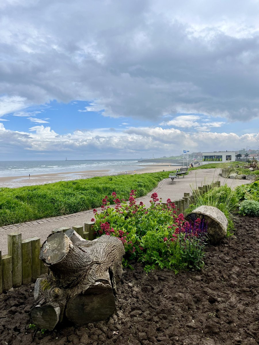 ItsKrisTatum's tweet photo. A slither of some Bank Holiday sun in Sunderland (can also confirm the Oreo-stuffed cookie at Fausto was 👌) https://t.co/VyjD229l4Z