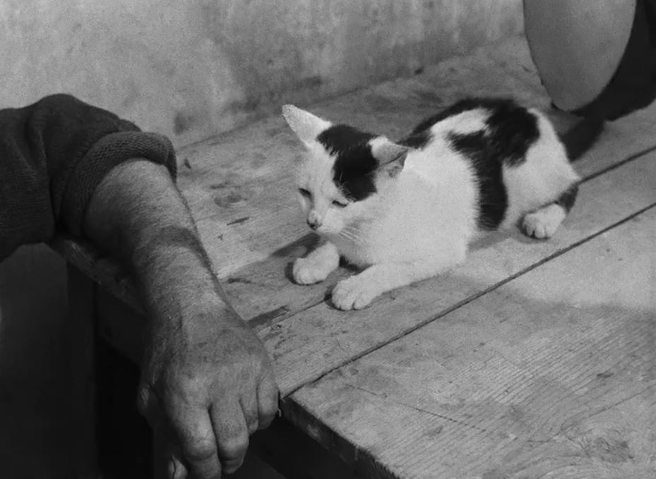 La Pointe-Courte, 1955
dir. Agnès Varda