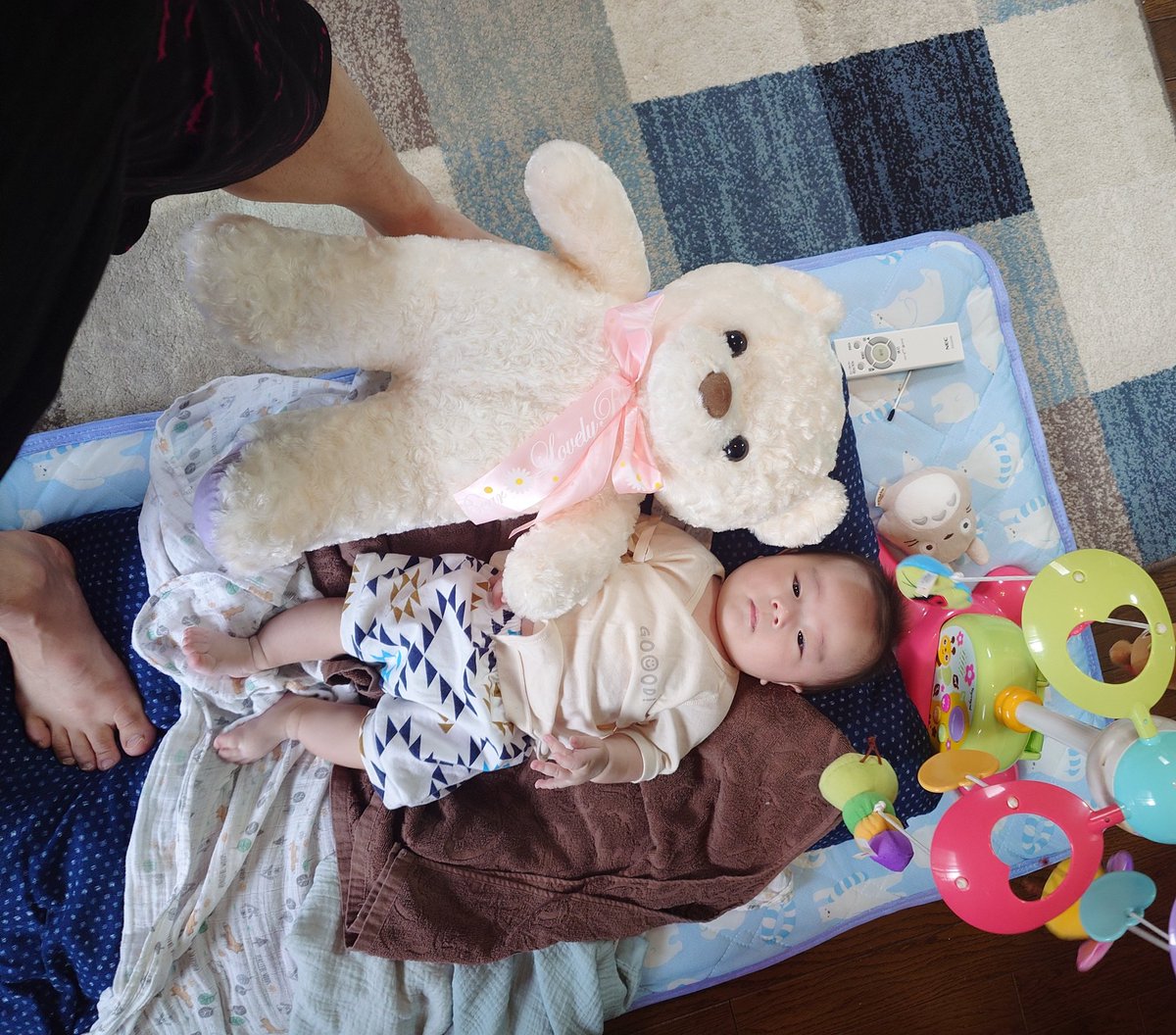 我が子の成長記録。
一回り大きかったクマより大きくなりました。二枚目は小さかった頃