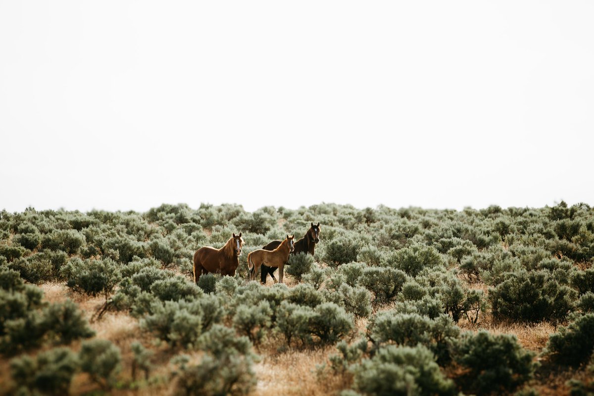 Kell Bell tweet media