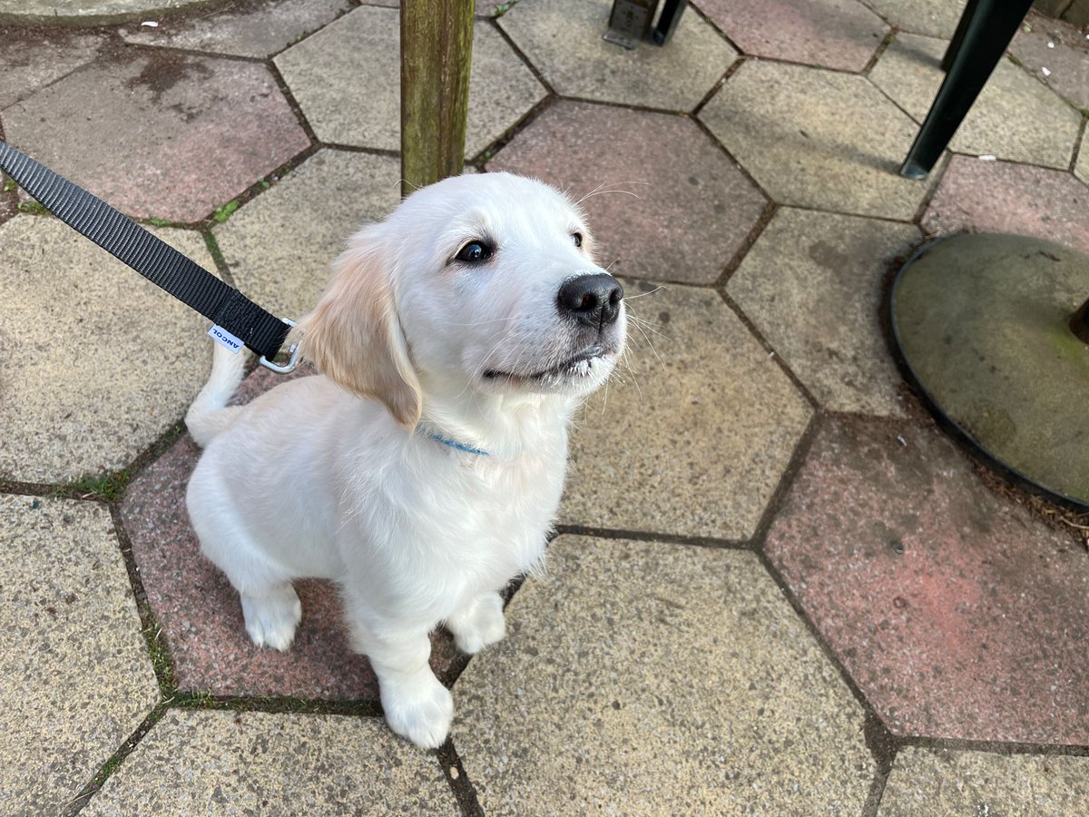 Emma Fielding tweet media