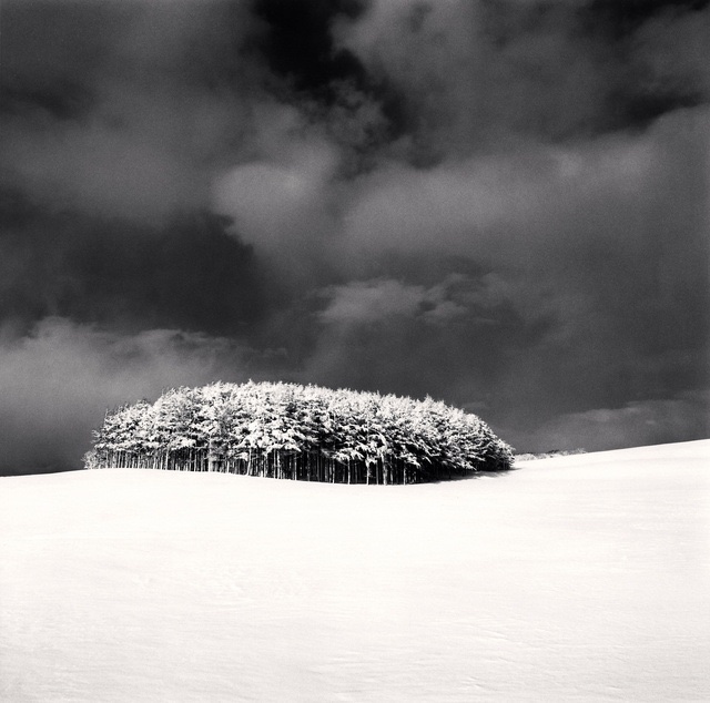 White Copse, Wakkanai, Hokkaido, Japan, 2004 • Michael Kenna •