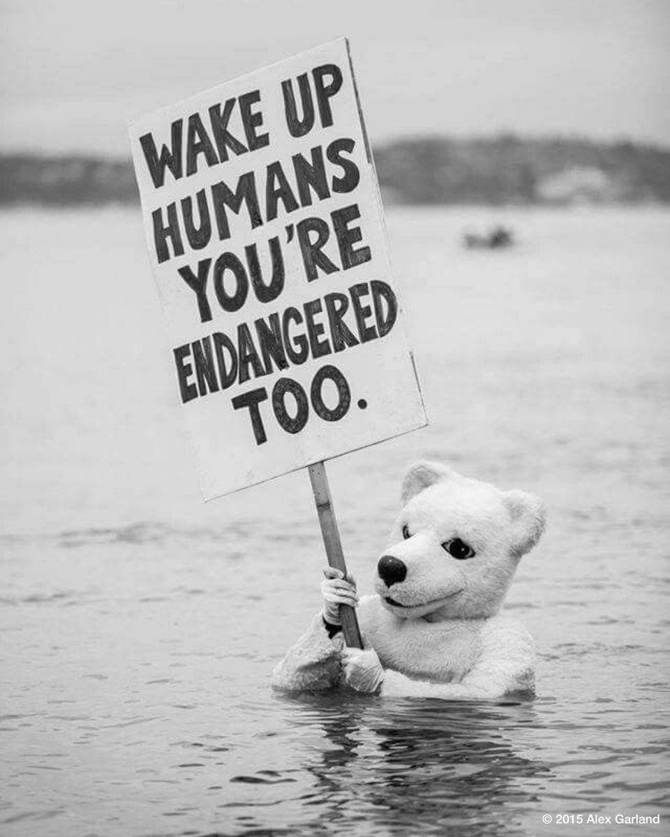 We're all species at risk. We need our leaders to take concrete action to tackle the climate emergency, which includes halting new fossil fuel development and implementing a rapid, just and equitable phase-out of existing fossil fuels. #ClimateAction >> act.gp/3Klhof6