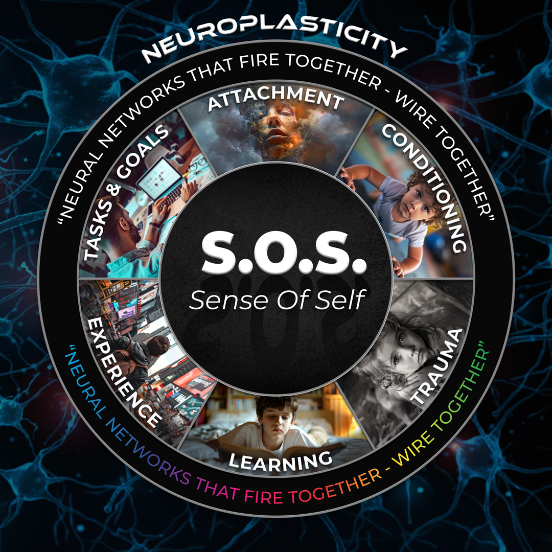 Join me June 11,2024, when I deliver the keynote presentation "Neuroplasticity &amp; Our Sense of Self" for the npnHub neuroplasticity community's 1st Anniversary celebrations.
 
Register via QR code or link below.
linkedin.com/events/neuropl…