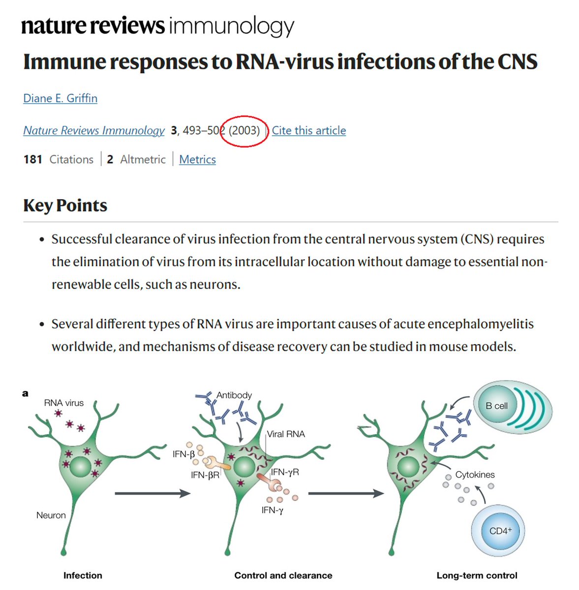 'You talk about #COVID19 in the brain like this virus has a special power no other viruses have'. Nah, scientists have known viruses enter the brain for decades now. People just don't like to listen and prefer to believe the brain is an 'immunoprivileged site.' It is not.