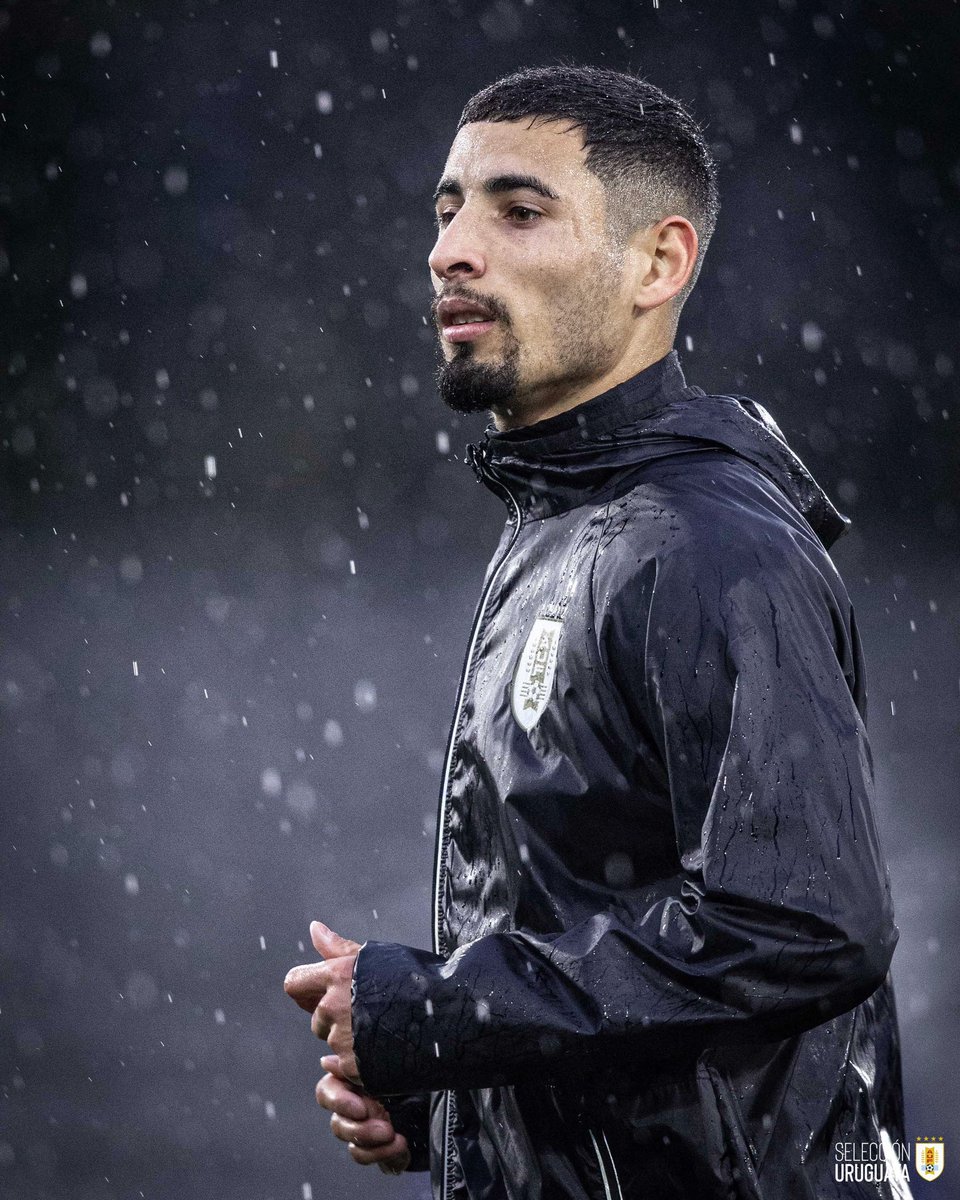 Selección Uruguaya tweet media