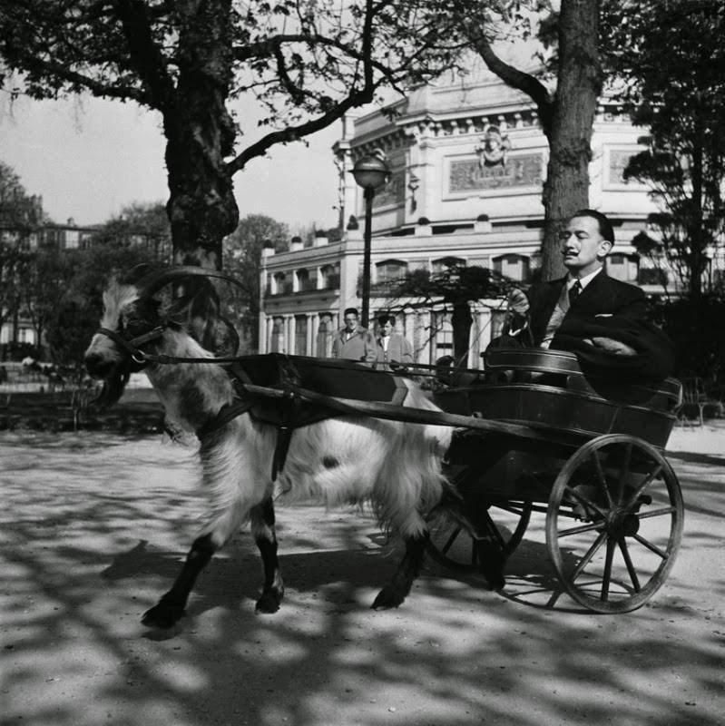 Salvador Dalí on a goat carriage, 1953.