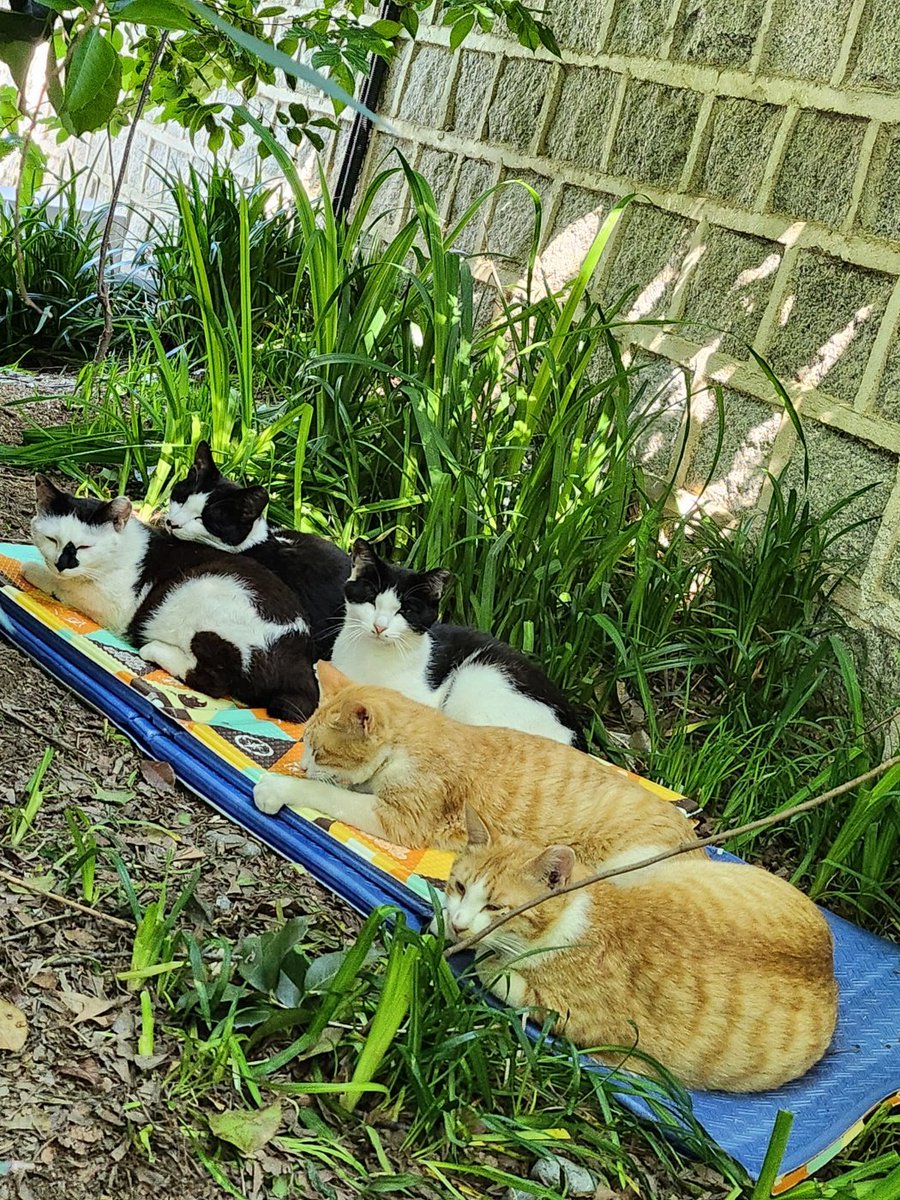 김종봉 tweet media