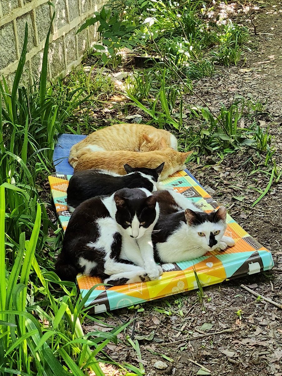 축복합니다♡
덕분입니다♡

전주 한옥마을 경기전~*