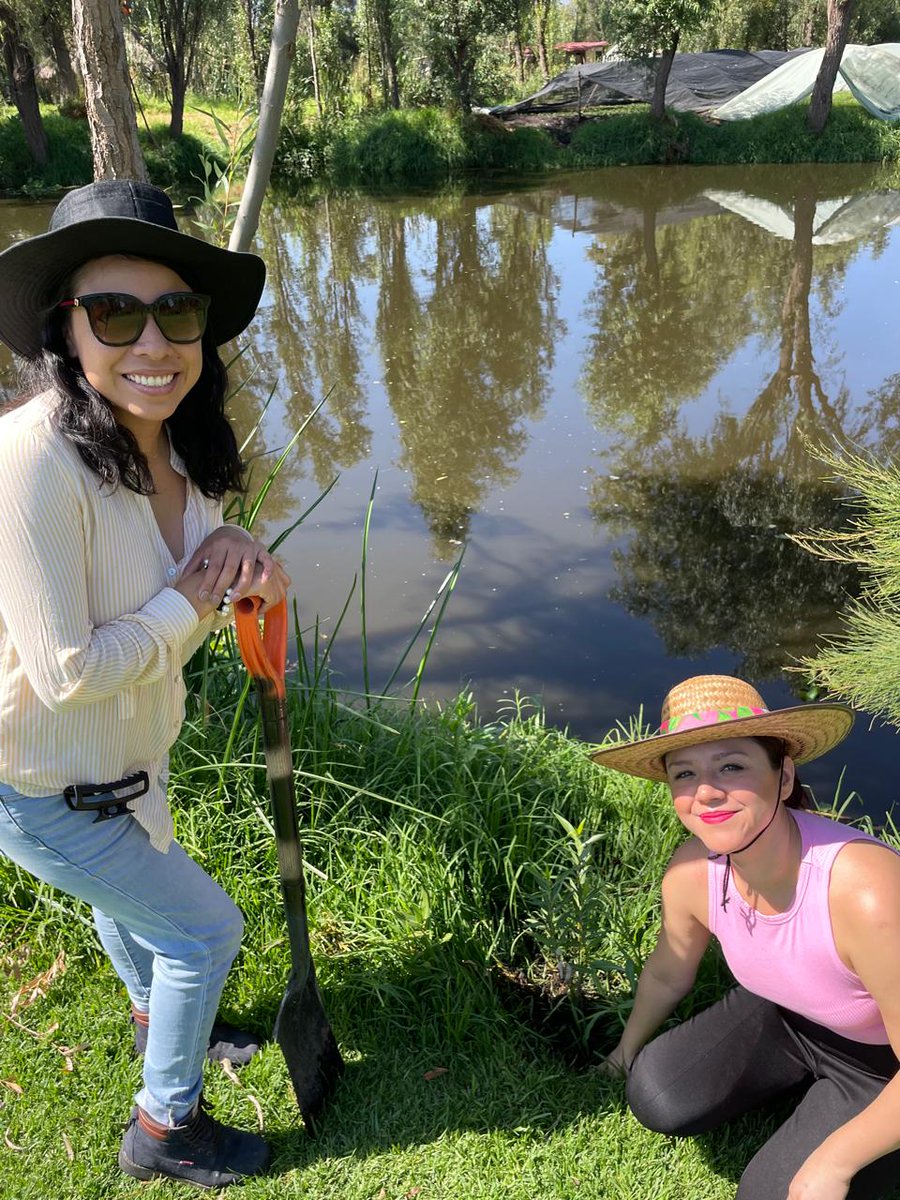 soundtravelmx's tweet photo. Hoy nuestros amigos de #APGMexico nos ayudaron a #reforestar la zona chinampera de #Xochimilco, sembrando más de 200 #ahuejotes, los árboles endémicos de la región, con lo que dejaron su granito de arena en pro del medio ambiente. ¡GRACIAS! 🥹🙏#MakingADifference ❤️🌱✈️ #APGDay https://t.co/F7BbJ5qFTL