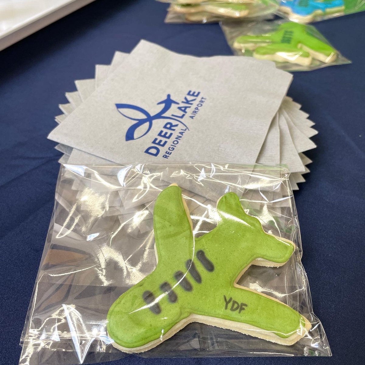 DeerLakeAirport's tweet photo. We’re thrilled to welcome direct flights to and from Toronto Pearson on Flair Airlines! ☀️✈️ https://t.co/J4cssjE4c1