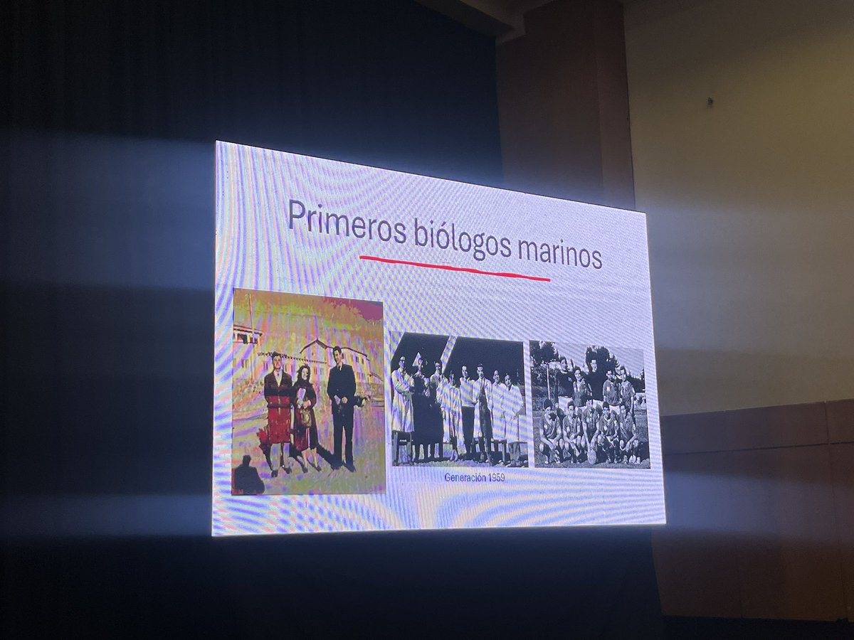 Sociedad Chilena Ciencias del Mar tweet media