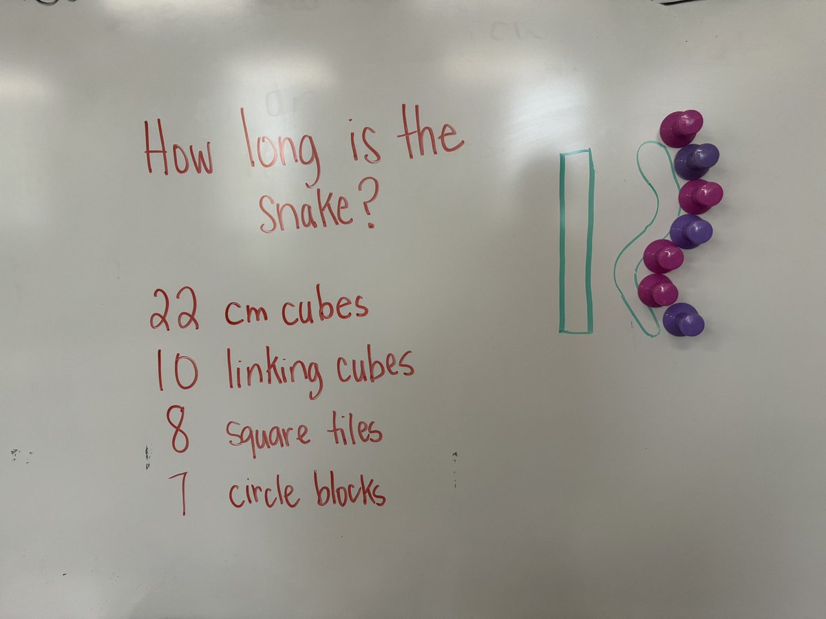 Our Gr.1 crew worked to measure how long our snakes are (using nonstandard units). We had lots of rich math talks happening as we discussed strategies and why everyone’s answers were different even though the snakes are equal lengths. @StMonicaOCSB #ocsbMath