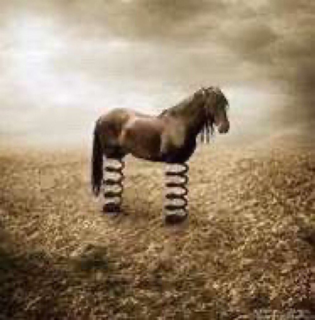 reacthorse's tweet photo. Horse with spring leg goes boing boing much fun. https://t.co/RapqYkQCZR