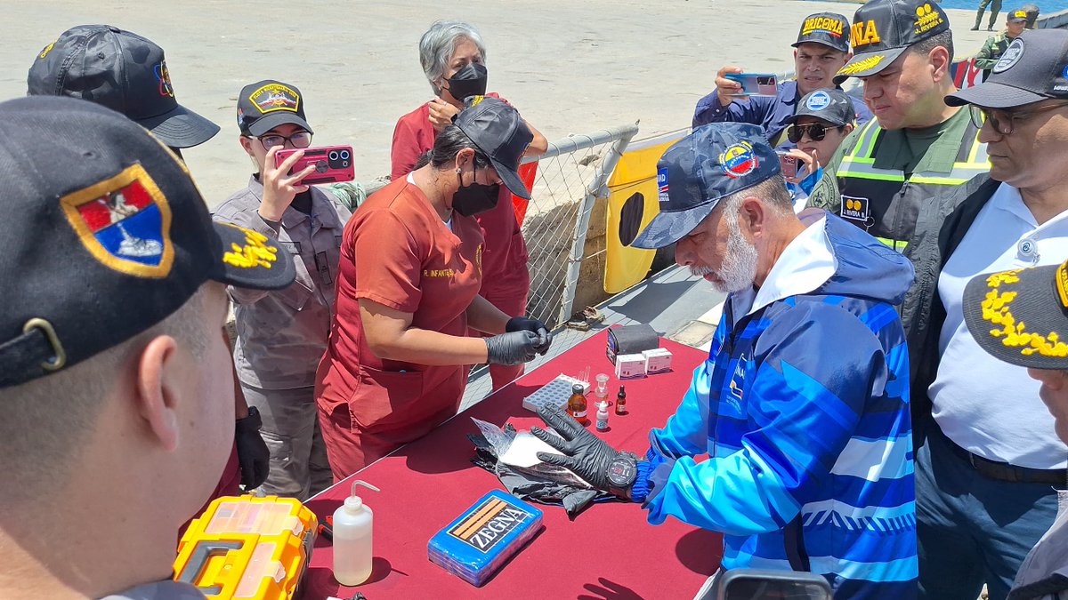 El éxito de esta operación, corresponde al trabajo mancomunado, que bajo los preceptos del Vértice 2 de la Gran Misión Cuadrantes de Paz, busca dar certeros golpes a los grupos estructurados de delincuencia organizada dedicados al tráfico de drogas, precisó el MG <a href="/LopezvargasR/">MG. Richard López Vargas</a>.