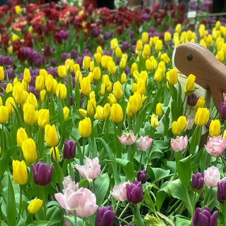 BonieGuild's tweet photo. #travel #vtuber #nature https://t.co/nK7sBt7d5K