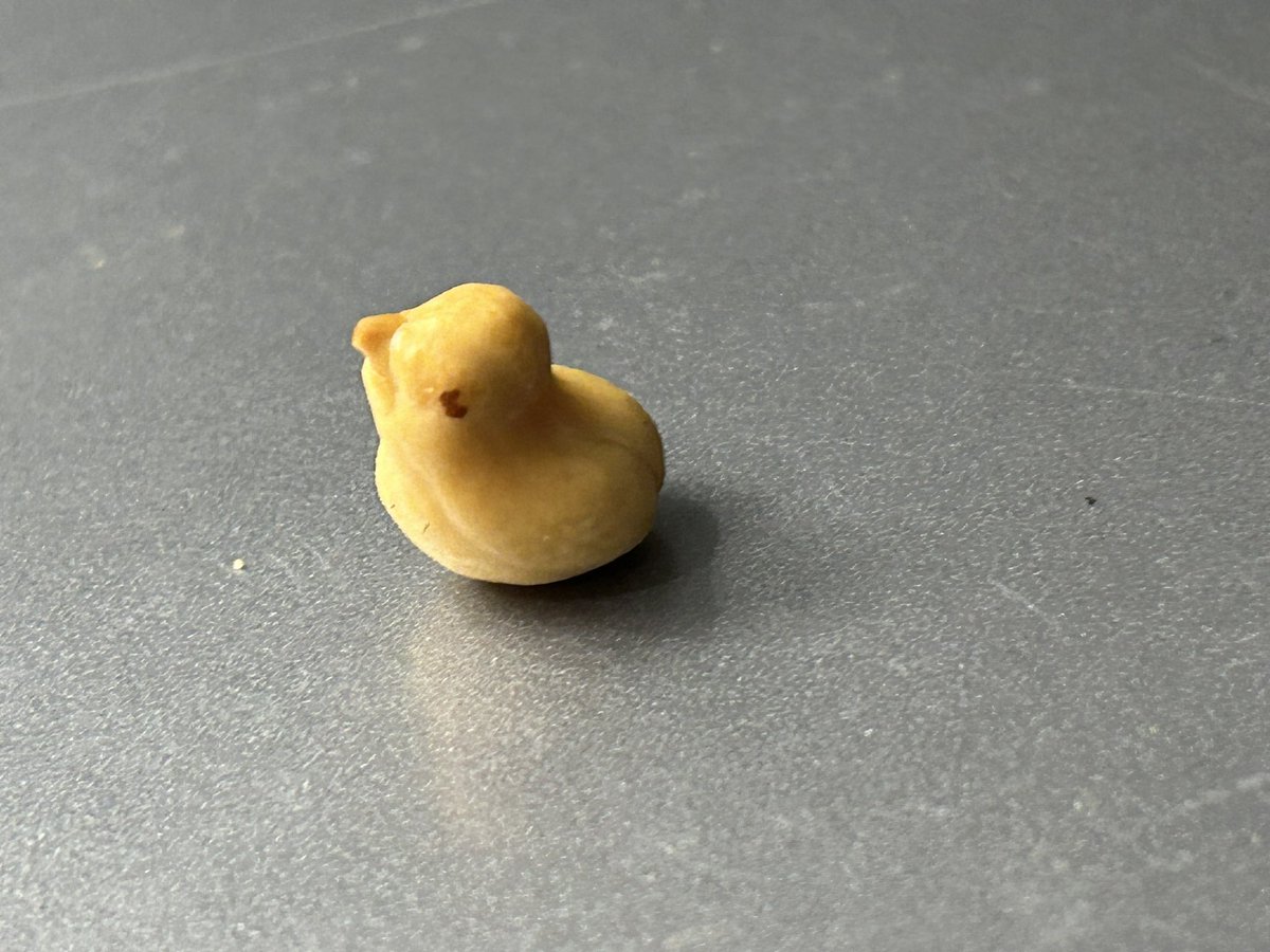 MsBrss's tweet photo. I appear to have found a tiny rubber duck in my bag of Co-Op salted peanuts tonight. Couldn’t bring myself to eat him and now I’m wondering if it’s in fact like Willy Wonka’s Golden Ticket? @coopuk https://t.co/23M8Je3m7U