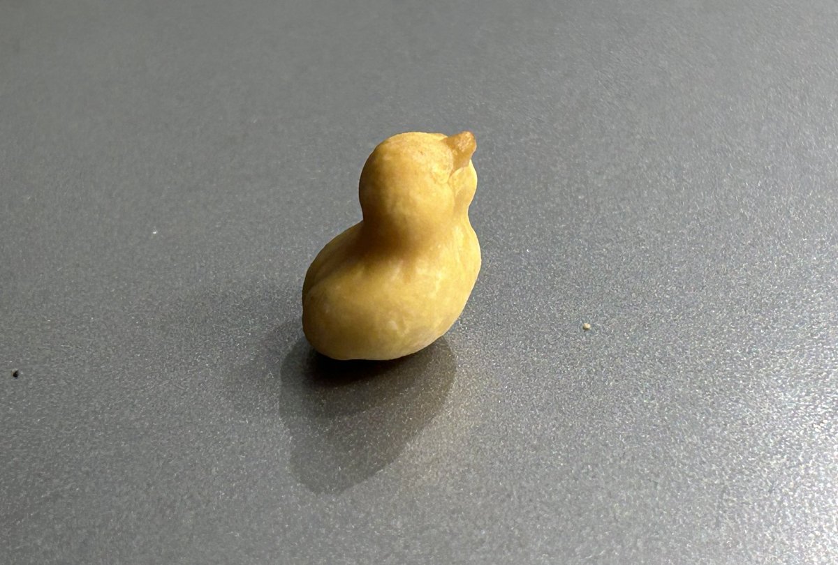 MsBrss's tweet photo. I appear to have found a tiny rubber duck in my bag of Co-Op salted peanuts tonight. Couldn’t bring myself to eat him and now I’m wondering if it’s in fact like Willy Wonka’s Golden Ticket? @coopuk https://t.co/23M8Je3m7U
