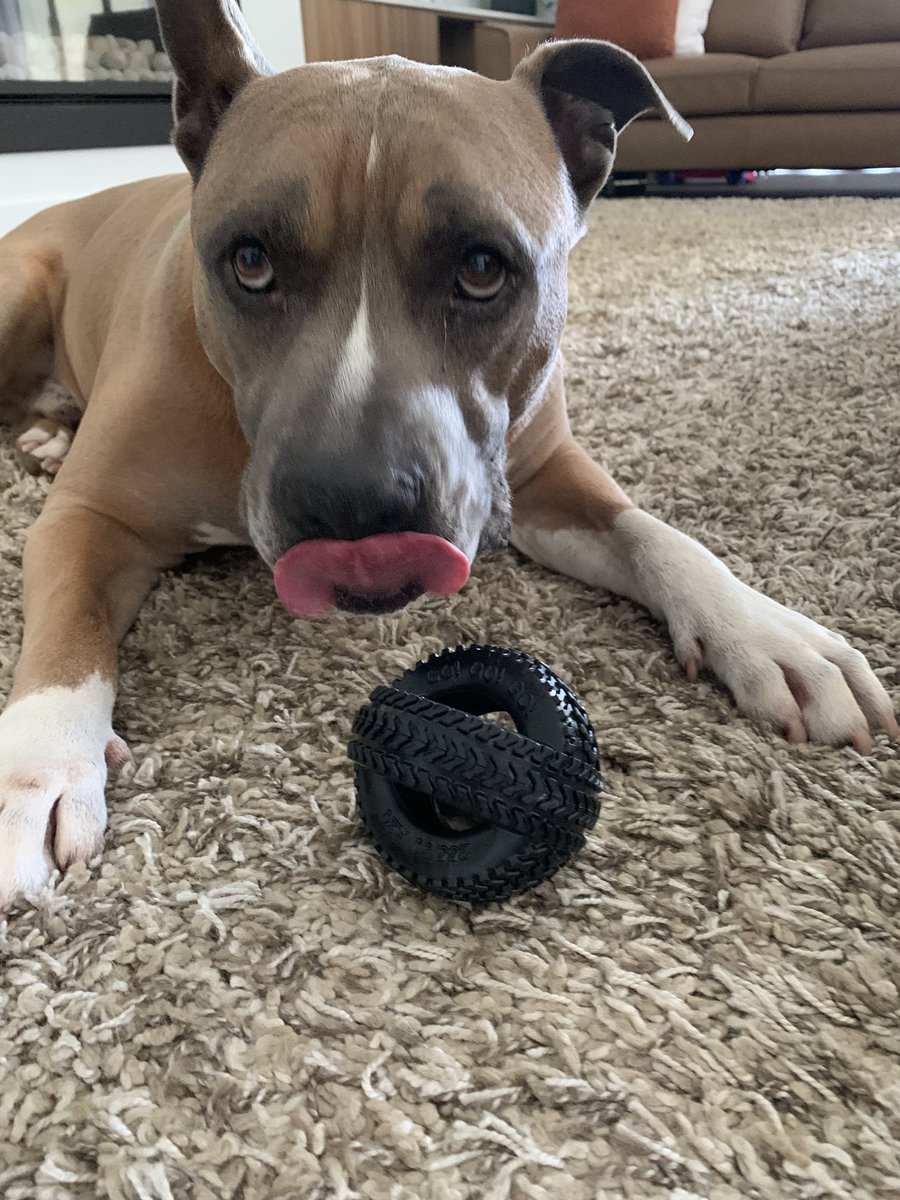 DiannaConstant2's tweet image. Hiya pals😊 Does my contribution to Tongue Out Tuesday make the grade?