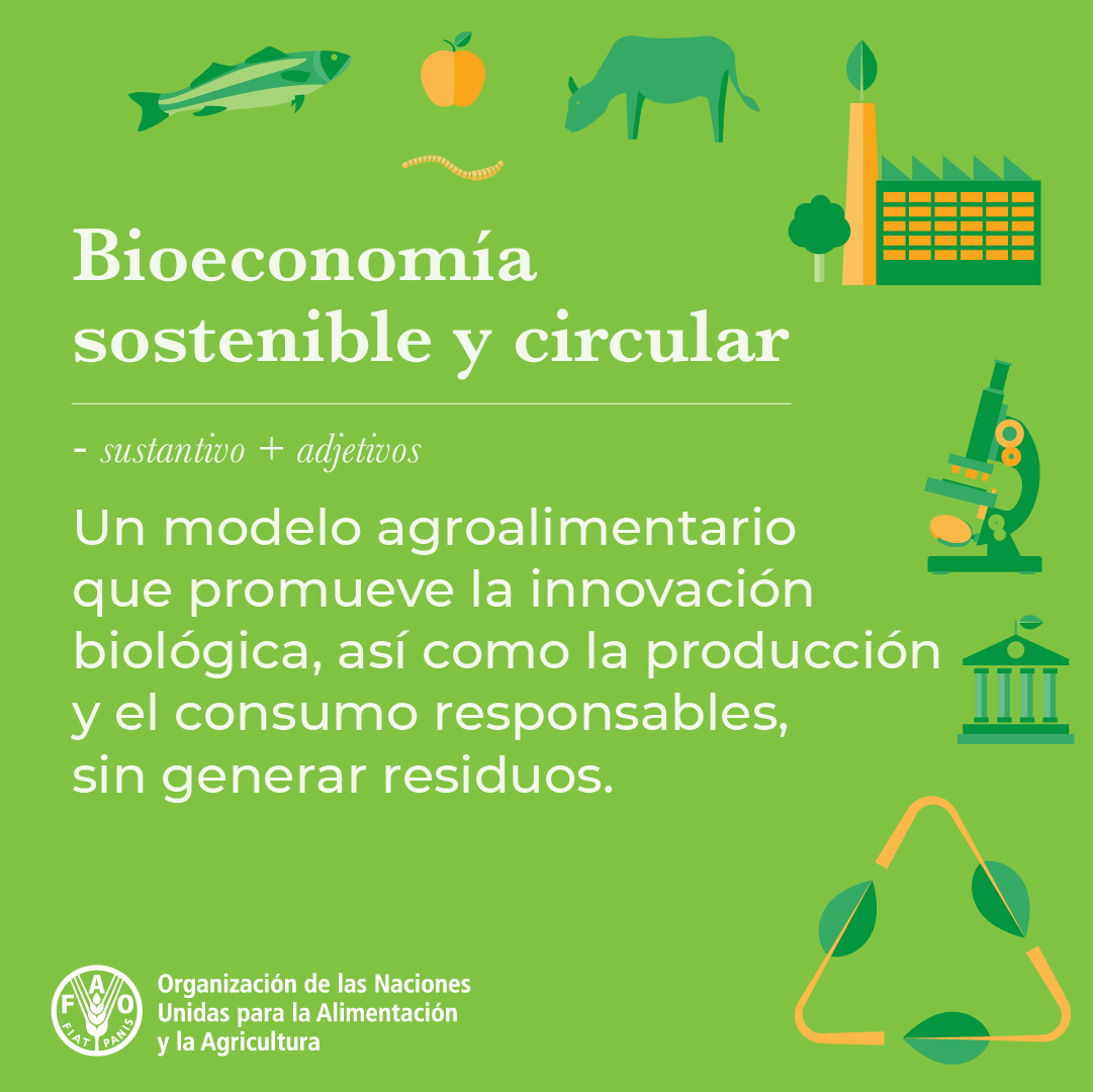 La bioeconomía circular sostenible tiene un gran potencial para ayudar a combatir la #CrisisClimática y transformar nuestros #SistemasAgroalimentarios 🌎