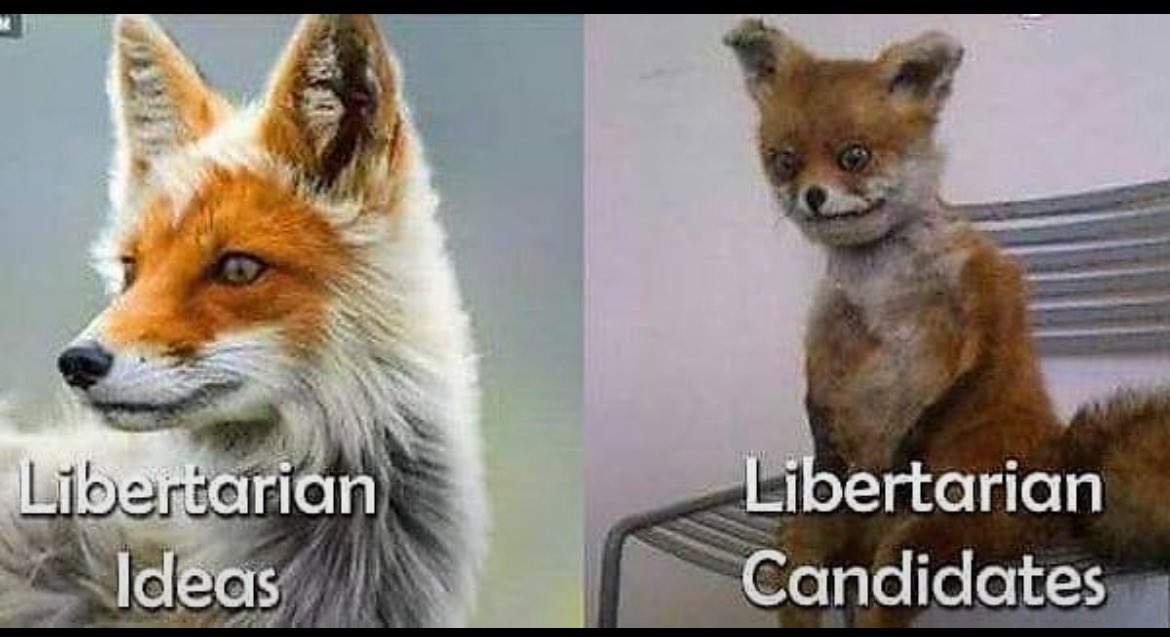 After watching the hilarious debacle that is the Libertarian conference in the US and knowing how dogsh!t the so called "Libertarian Party" is in Australia. You got to wonder why people vote for these morons.