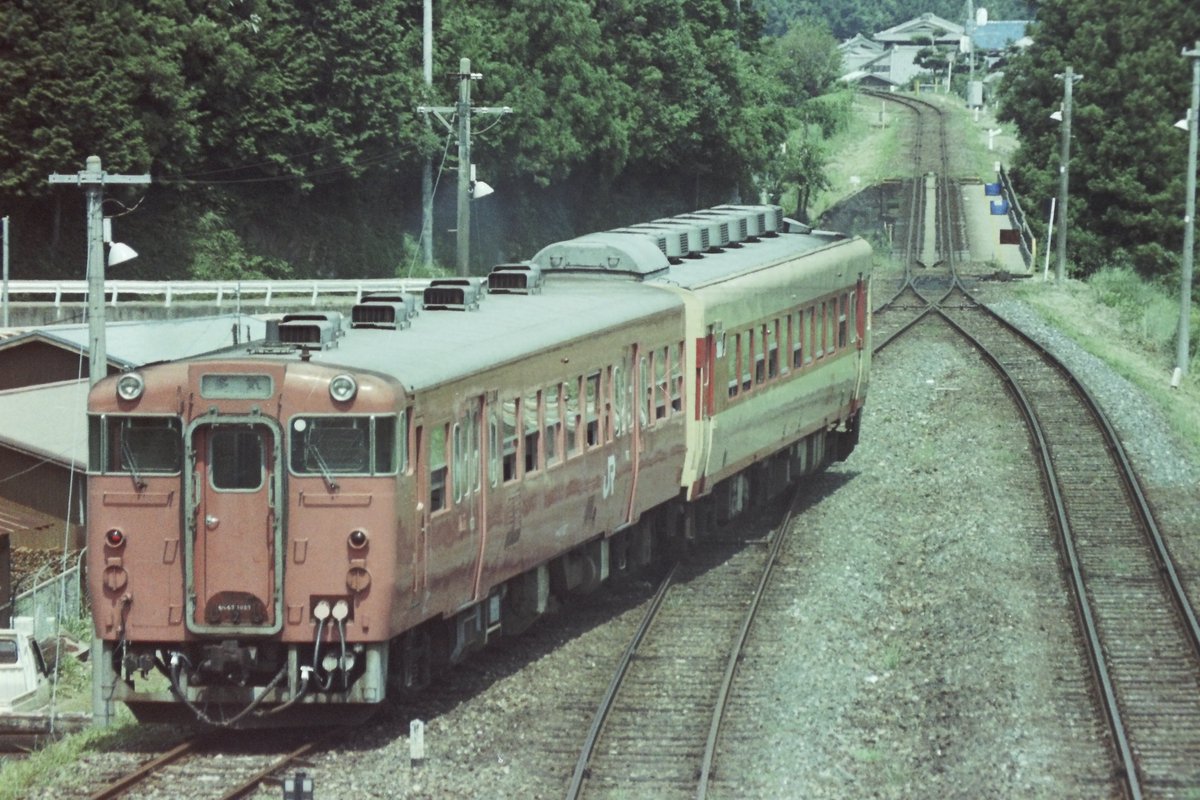 わんこ tweet media