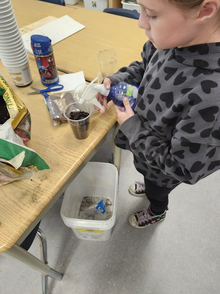 Planting bean seeds in 2/3T @GlenwoodGriffin today!  We're excited to watch the growth over the next few weeks!  Hoping to eat lots of green beans this summer!🤞#handsonlearning @ibpyp