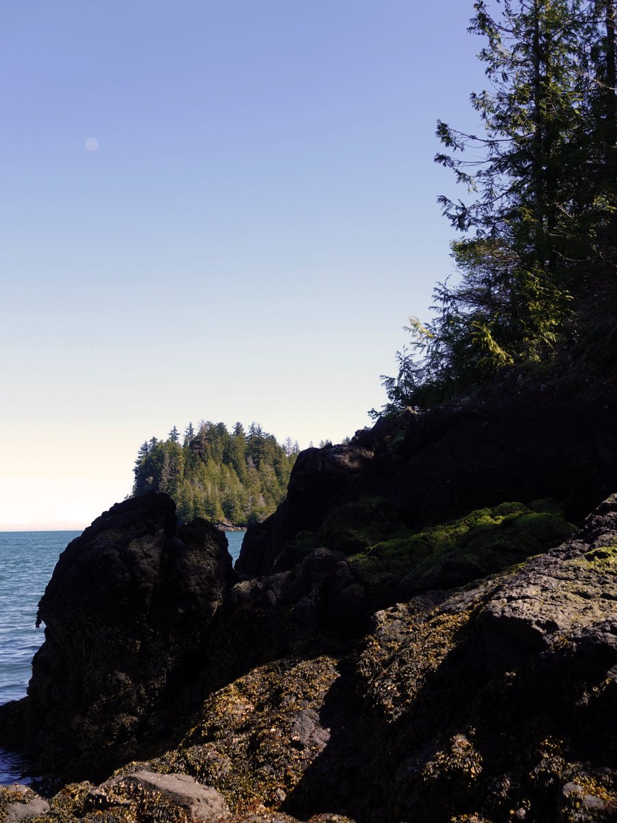 The beautiful view from our classroom at K_aay Llnagaay!