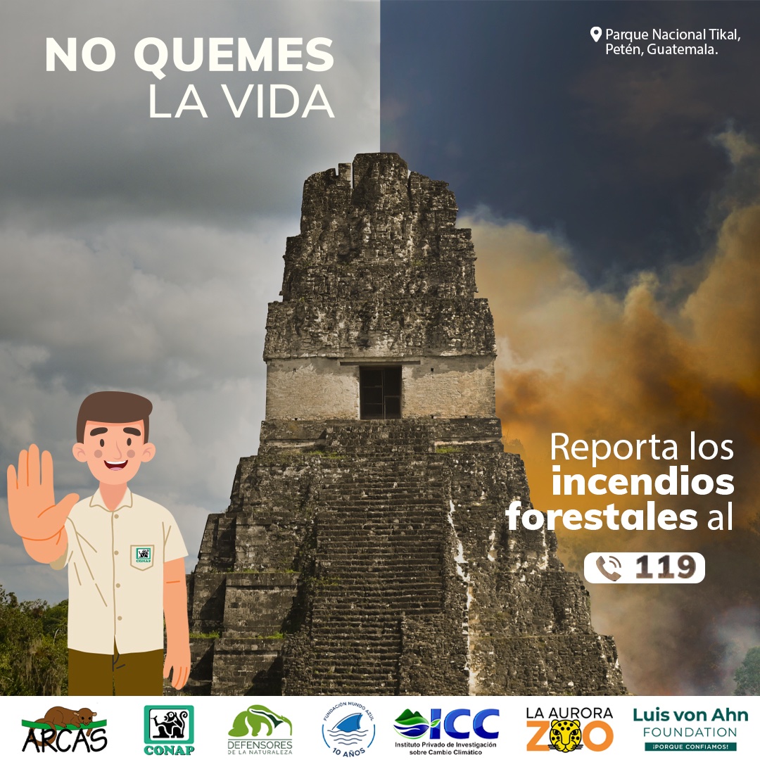 Prevenir los #IncendiosForestales está en nuestras manos ✋, valoremos nuestra #GuatemalaMegadiversa 💚.  Repórtalos al ☎️ 119.  #NoQuemesLaVida #DiversidadBiológica #ÁreasProtegidasGT #PrevenirEsConservar #ALTOalosIncendiosForestales