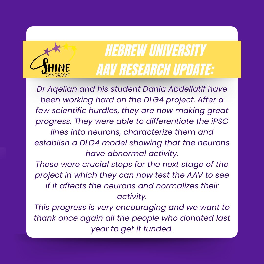 DLG4 SHINE tweet media