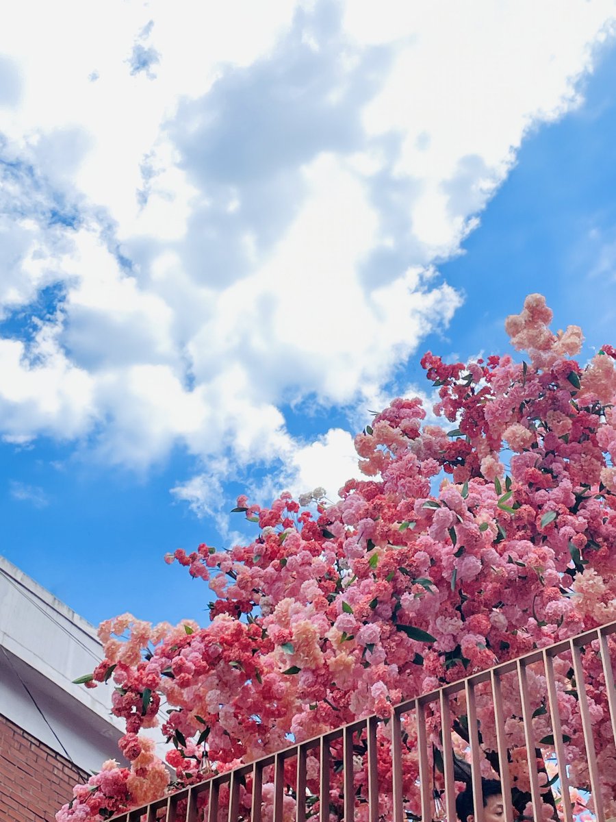 뇽 (@_luvox_) on Twitter photo 