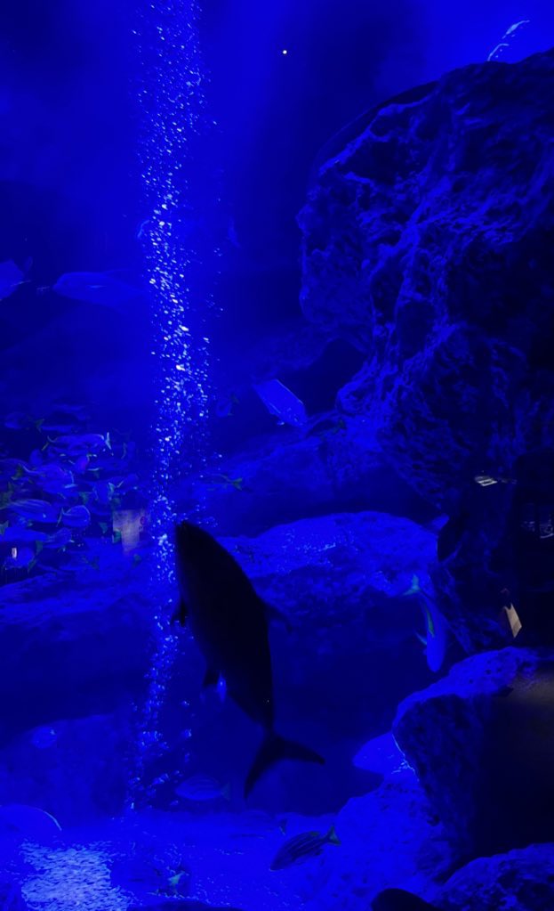 9 𓆝𓂃 𓈒𓏸🎇