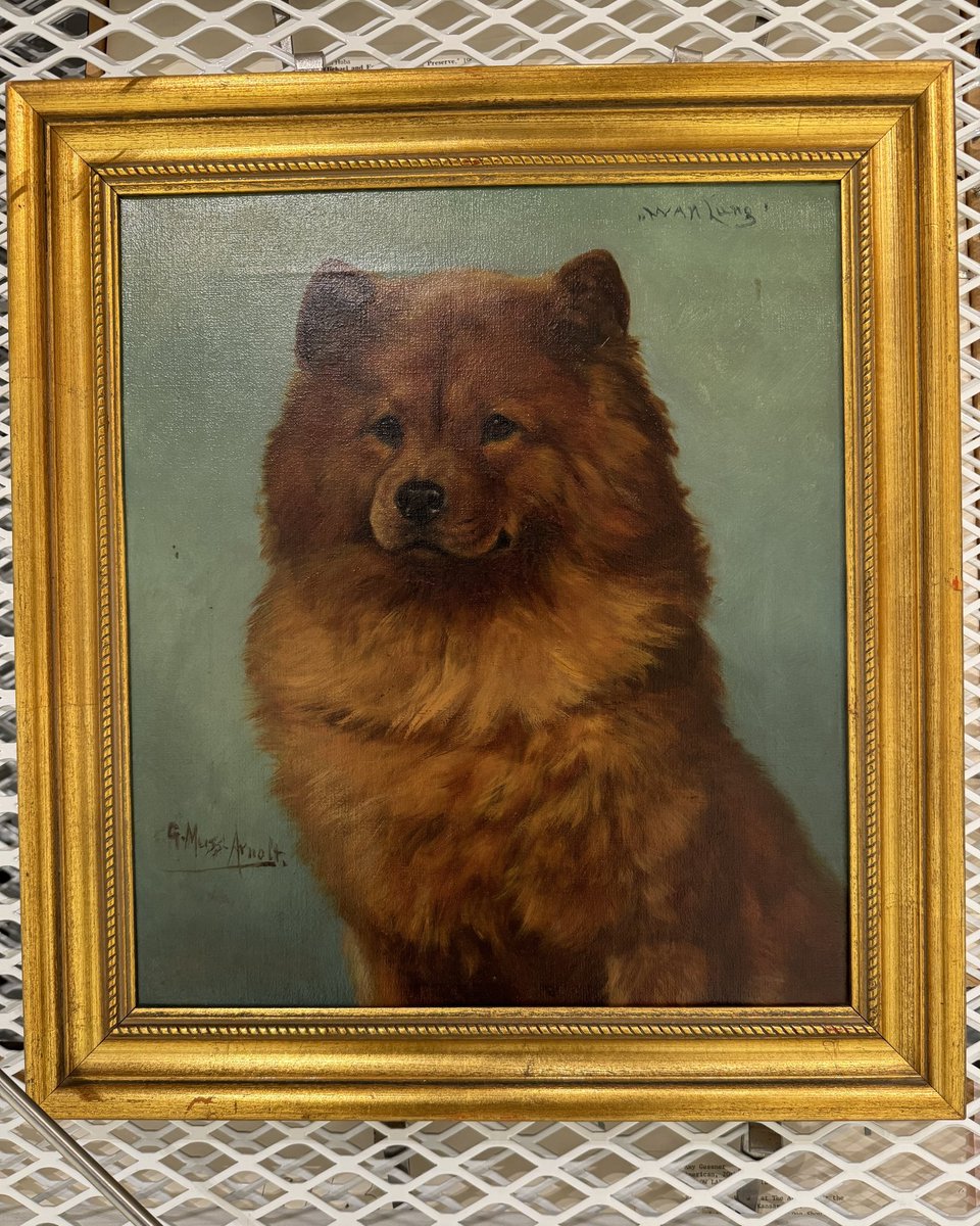 Gustav Muss-Arnolt (German-American, 1858-1927) Wan Lung, c. 1920 oil on canvas Breed: #ChowChow on display at @akcMOD #DogsInArt