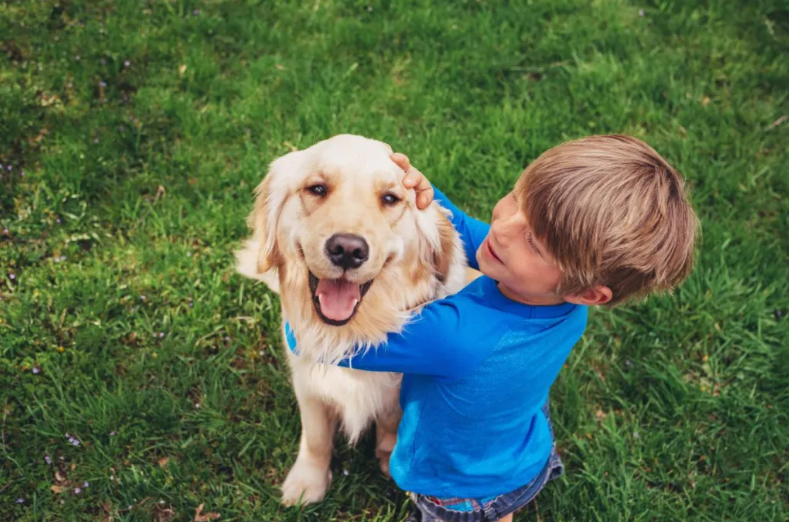 Study Shows Dog Genes Link to Behavior and Personality

Almost every dog seems to have a matching personality type in people’s heads.
We think of Golden Retrievers as friendly.
Shih Tzus are regal and aloof.
Chihuahuas appear to be very nervous.
Collies are affectionate.
Some