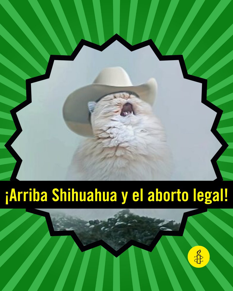 ¡La #mareaverde no para!
 
Los servicios de salud de Chihuahua deberán practicar el aborto para las mujeres y personas gestantes que lo soliciten hasta la semana 12 de gestación.
 
14 de 32 entidades federativas de México brindan protecciones ya para acceder al #abortoseguro