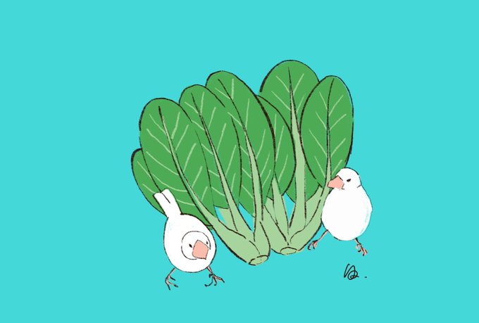 「葉 植物」のTwitter画像/イラスト(新着)｜2ページ目