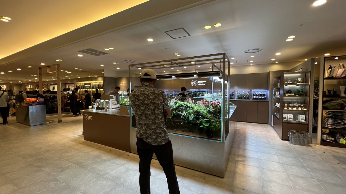 AquaRevue's tweet photo. 時間をかけて水槽の隅からゆっくりと鑑賞している。
魅せる水景とはそんなレイアウト水槽なんだと思いました。
ADA LAB UMEDA
#ADA
#ADALAB
#paluda https://t.co/dKkLFEHgBy